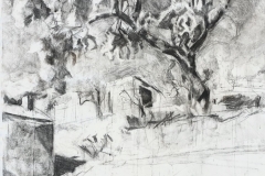 Il Mandorlo in Fiore 2020 Kohle auf Papier 106 x 78 cm